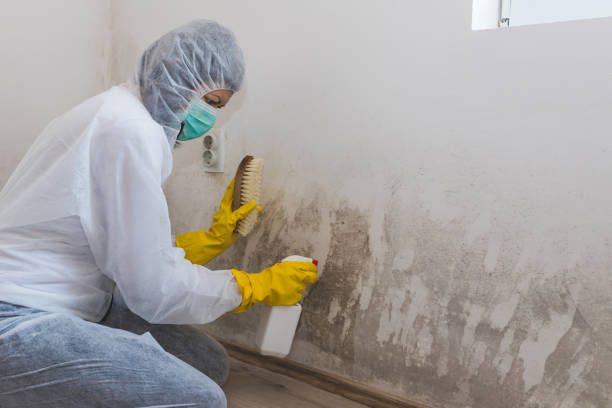 Best Emergency Mold Removal  in Tuolumne City, CA